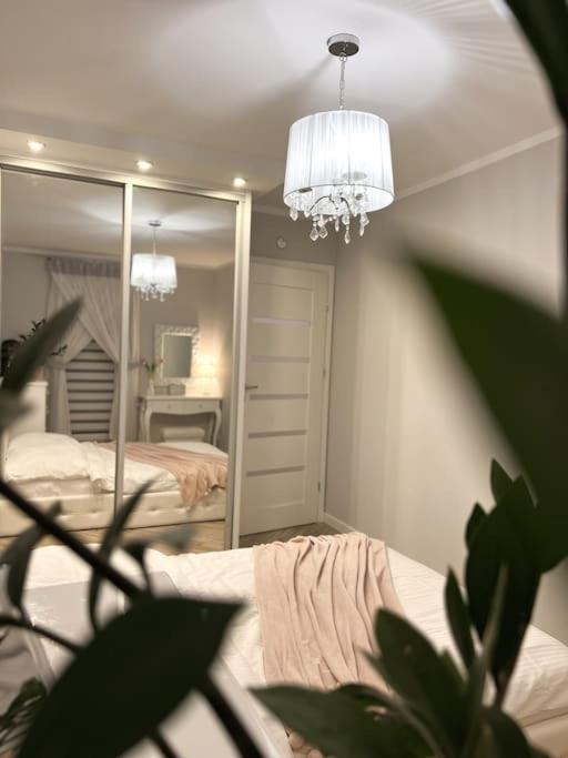 Apartament Zamojski Mlynska #N/A Exterior photo