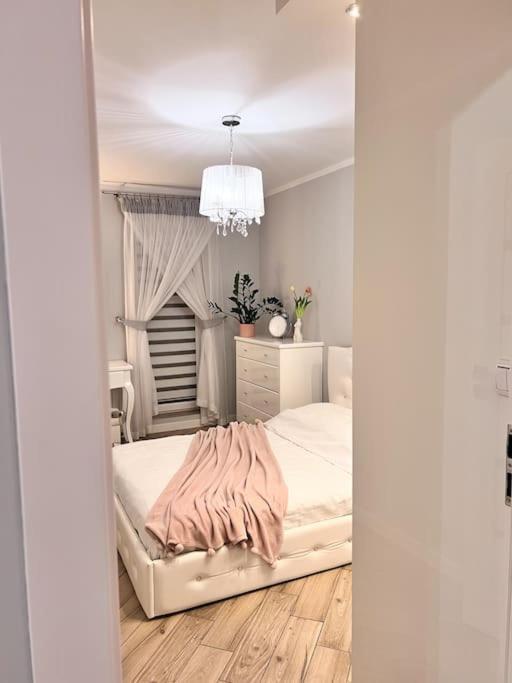 Apartament Zamojski Mlynska #N/A Exterior photo